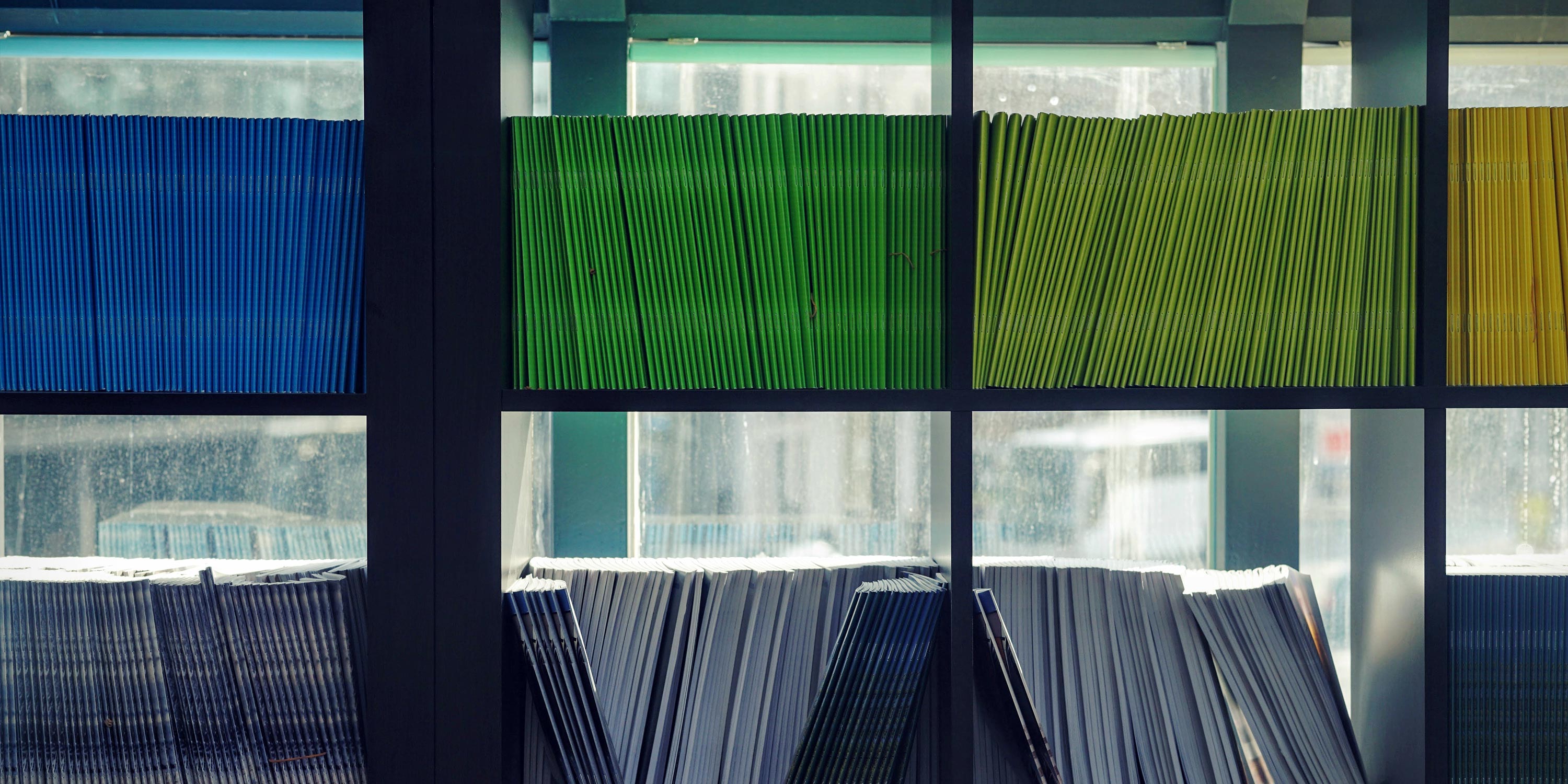 Bookshelf lined with books organized by color against a sunny window 