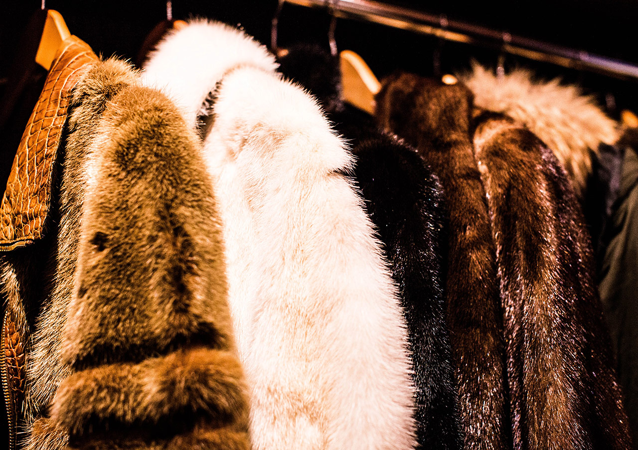 Fur coats, multi colored 