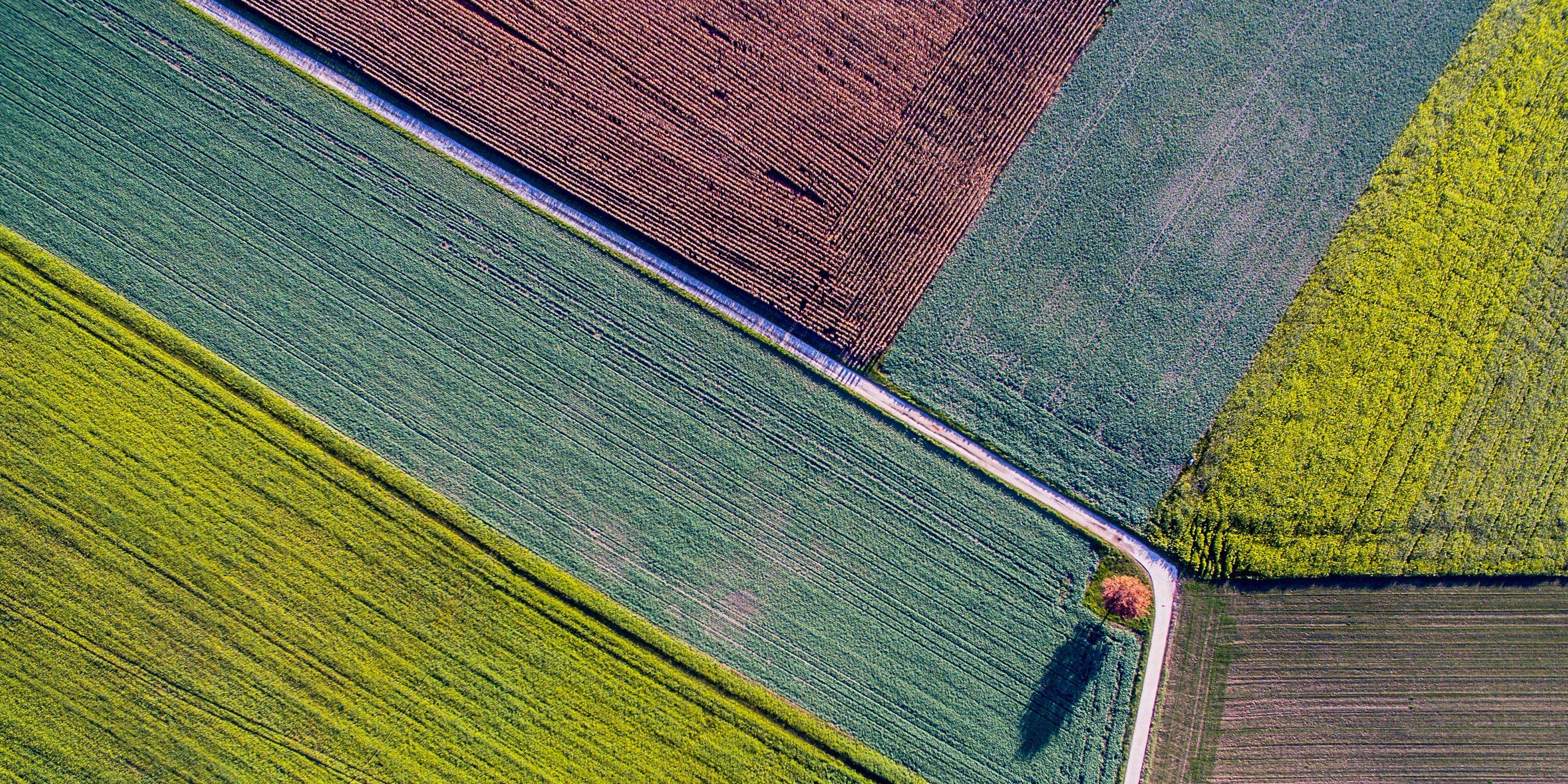 Agriculture & AgTech Industry Image
