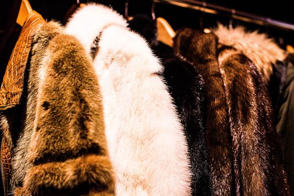 Closeup of fur coats hanging on a rack