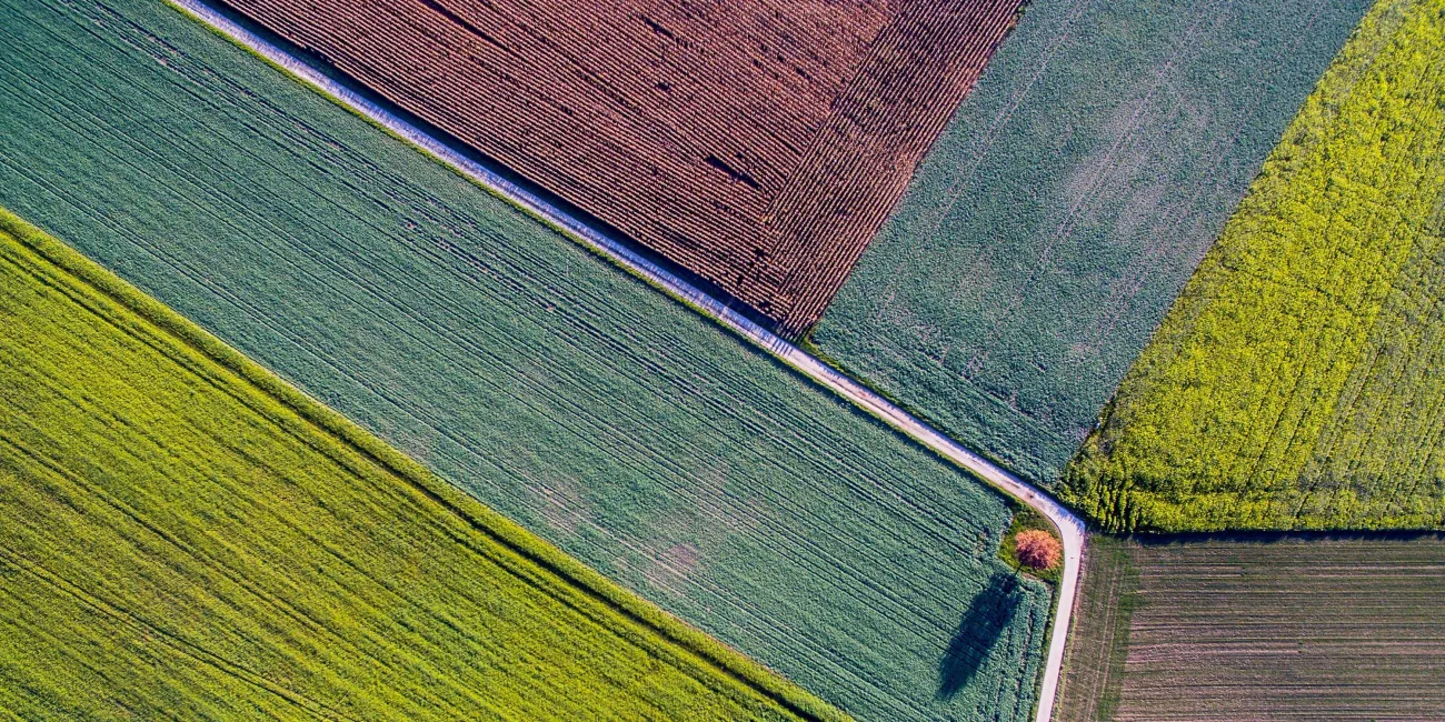 Aerial view of a field